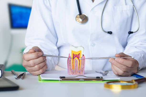 Best Pediatric Emergency Dentist in Morton, TX